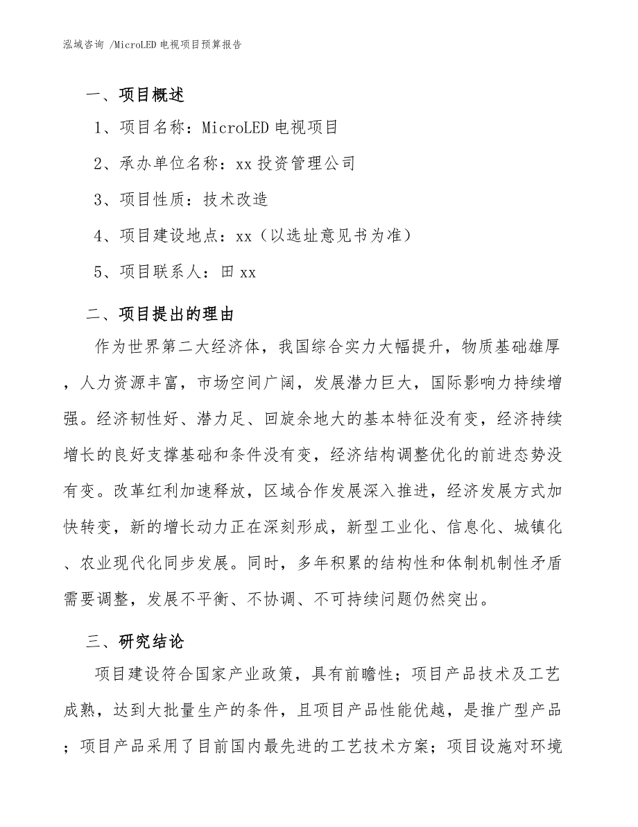 MicroLED电视项目预算报告模板范本_第3页