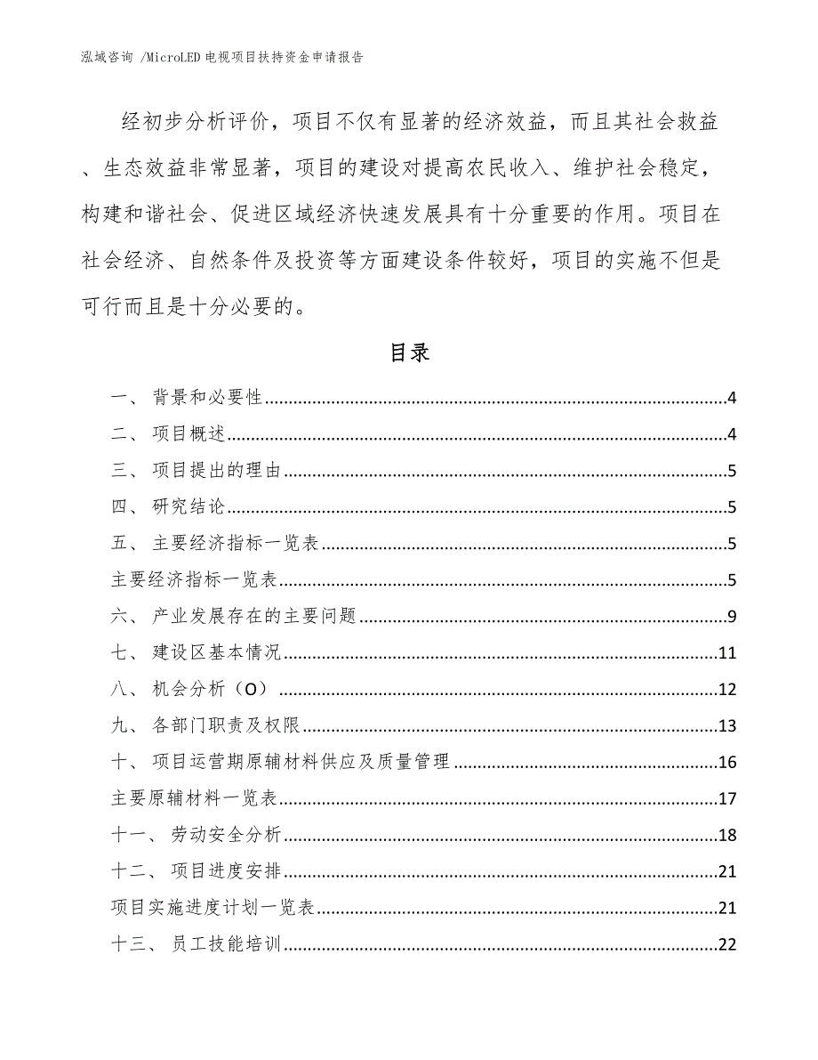 MicroLED电视项目扶持资金申请报告范文模板_第2页