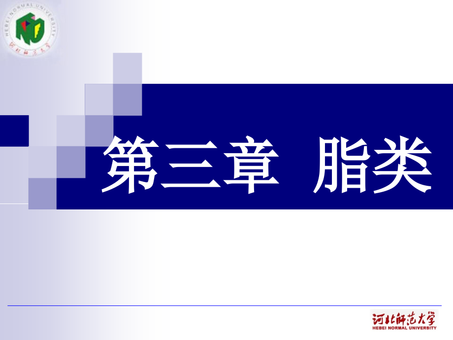 油脂讲义课件_第1页