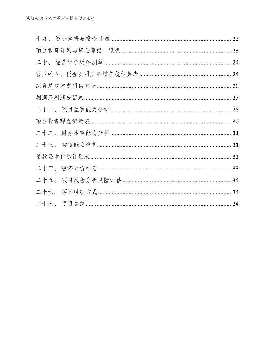 光学膜项目投资预算报告（模板参考）_第3页