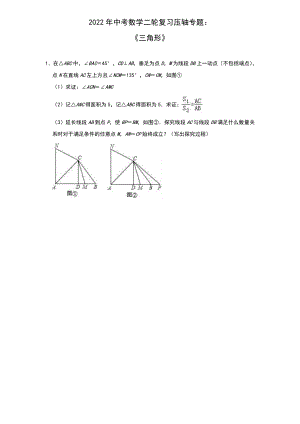 2022年中考数学二轮复习压轴专题：三角形 试题版本