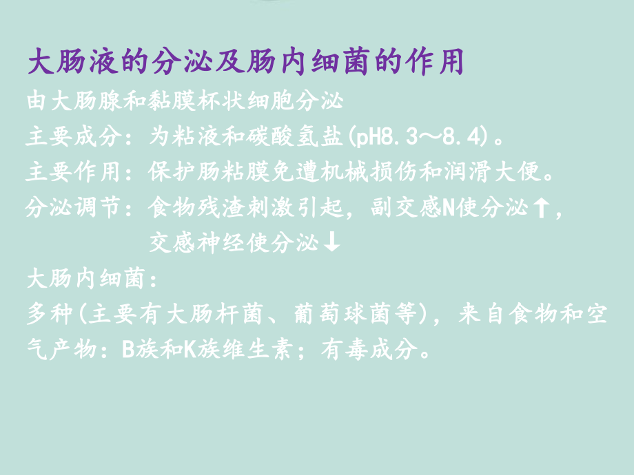 《人体解剖生理学》消化与吸收课件PPT课件_第4页