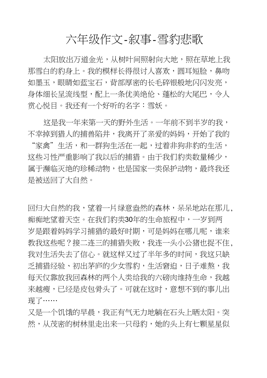 六年级作文-叙事-雪豹悲歌_第1页