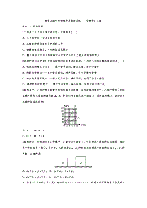 2022中考物理考点提升训练专题十：压强