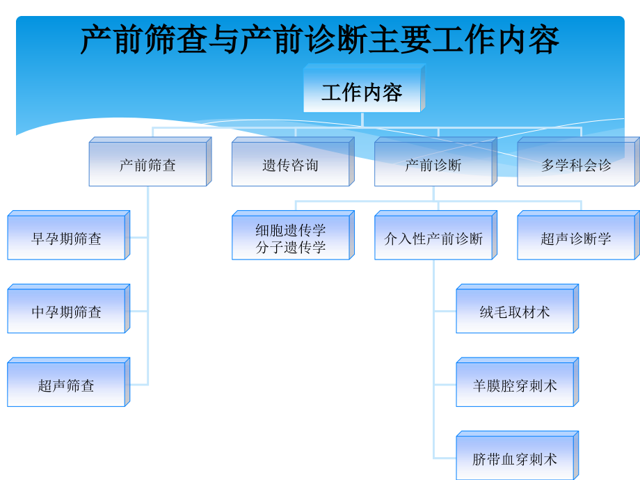 产前筛查与诊断工作介绍PPT课件2_第4页