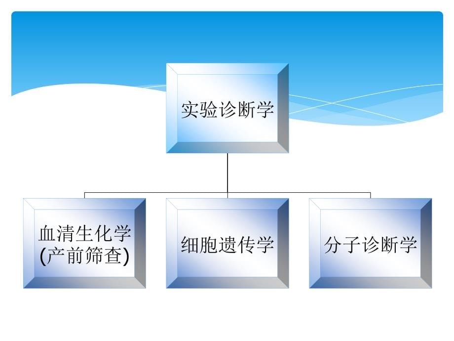 产前筛查与诊断工作介绍PPT课件2_第5页