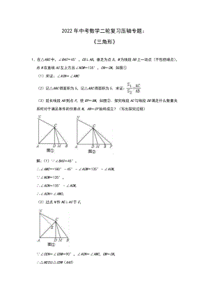 2022年中考数学二轮复习压轴专题：三角形（解析版）