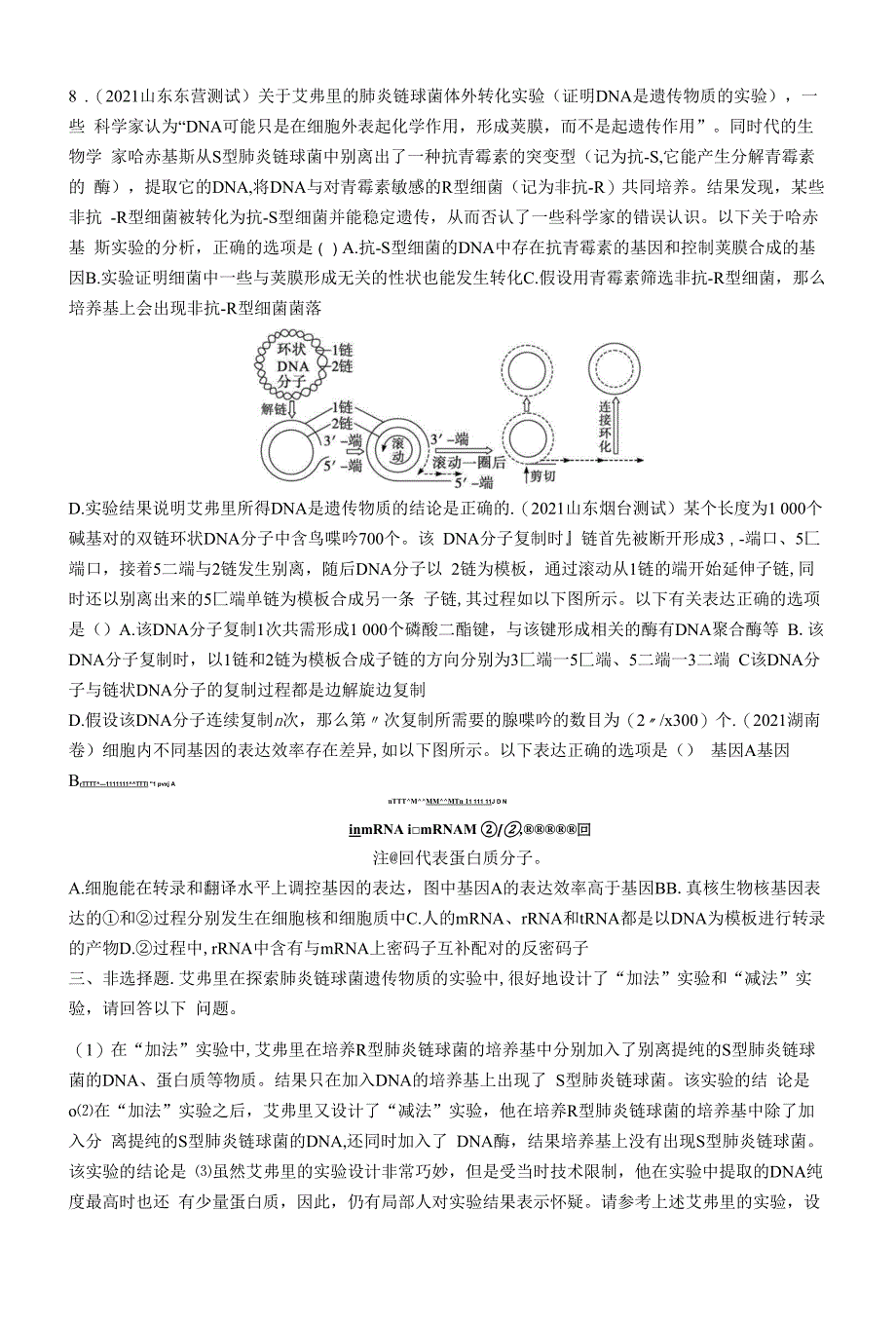 人教版高考总复习二轮专题五：突破练习遗传的分子基础_第4页