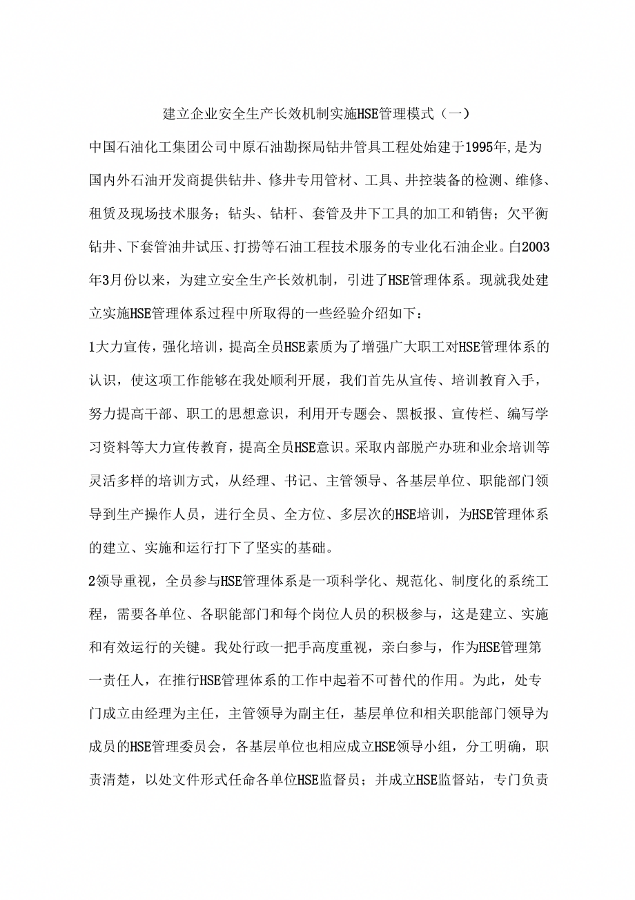 建立企业安全生产长效机制实施HSE管理模式(一)_第1页