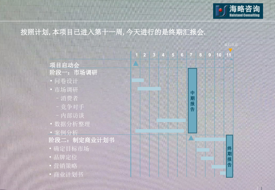 服装零售商业计划_第2页