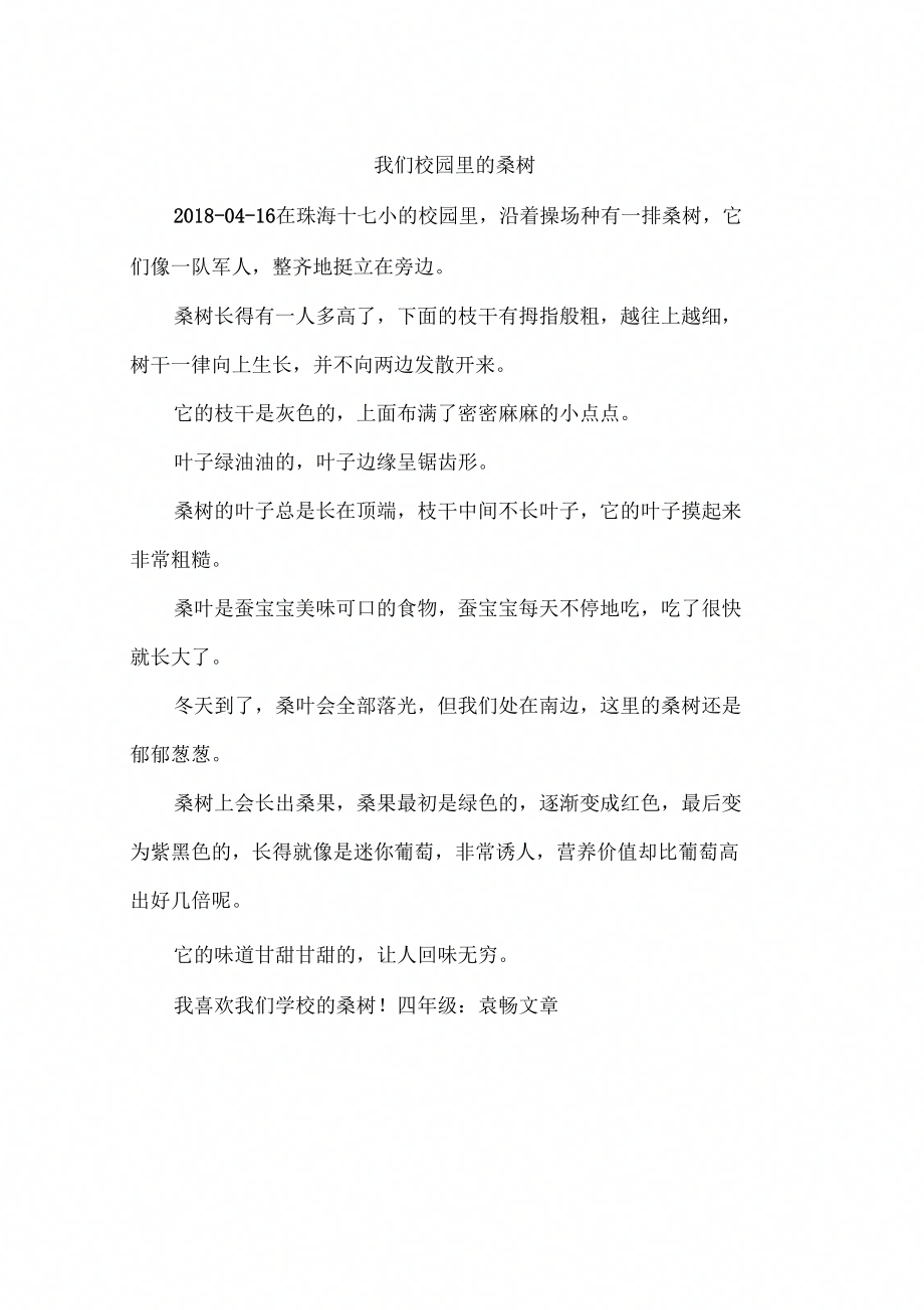 我们校园里的桑树_第1页