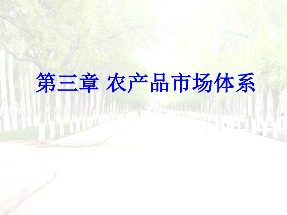 农产品市场体系课件最全ppt文档_第1页
