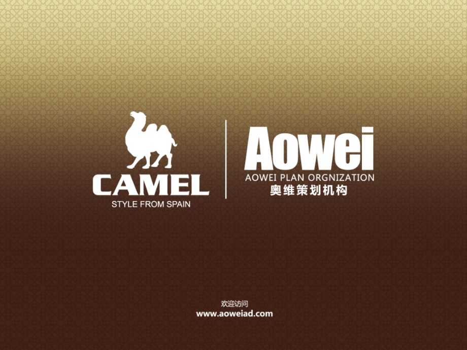 骆驼Camel品牌管理-副本_第1页