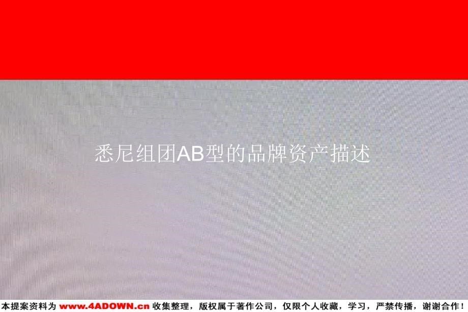 旭日广告南奥悉尼组团ab型品牌手册_第5页