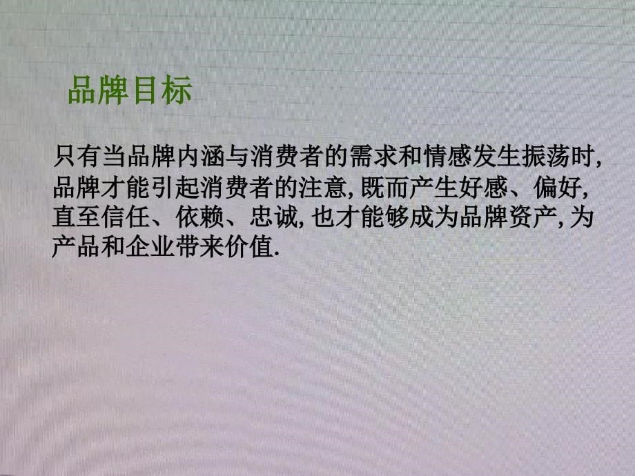 活动-瑞玛瑜珈品牌战略及商业模式规划案(初案)_第5页