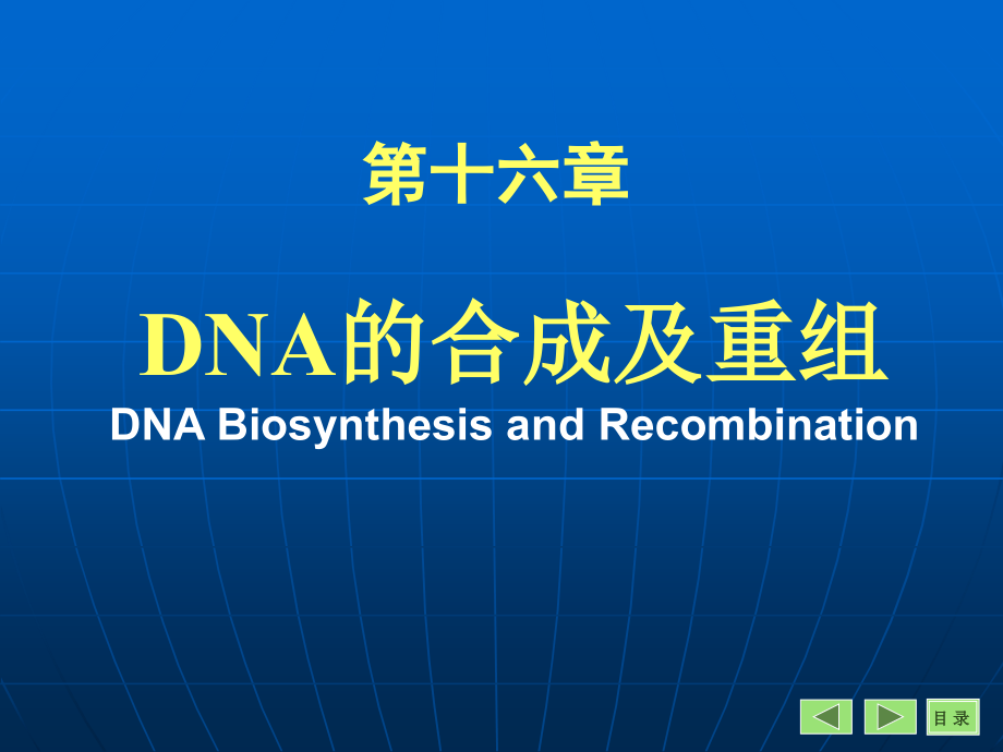 DNA的生物合成和损伤修复熊宇芳_第1页