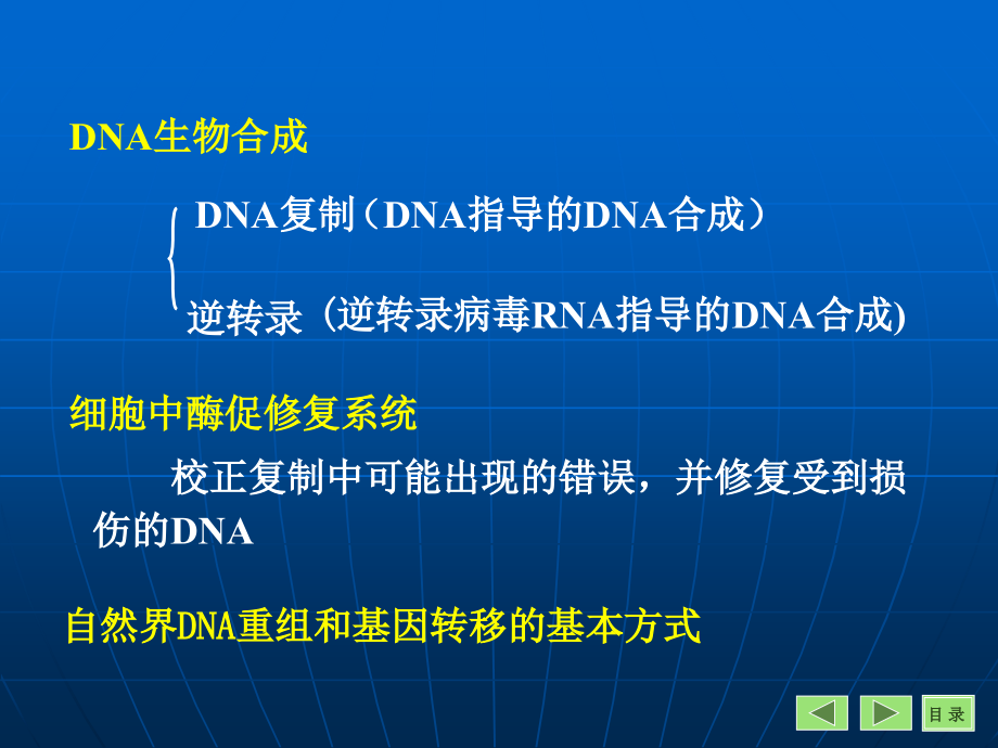 DNA的生物合成和损伤修复熊宇芳_第2页
