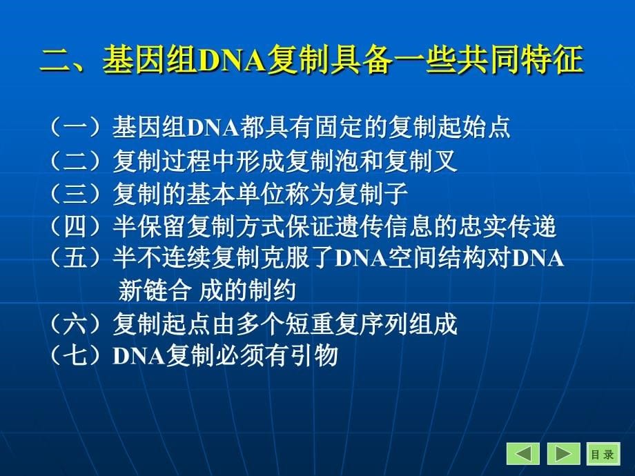 DNA的生物合成和损伤修复熊宇芳_第5页