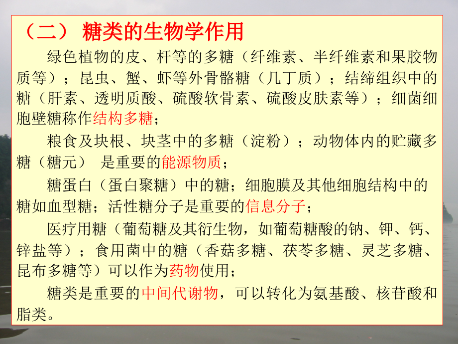 生物化学 经典课件 1糖的生物化学1 考研必备_第3页