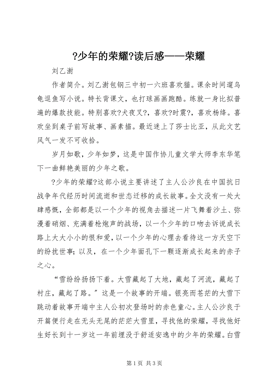 2022年《少年的荣耀》读后感荣耀_第1页