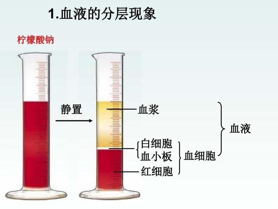 人体内物质的运输()课件_第5页