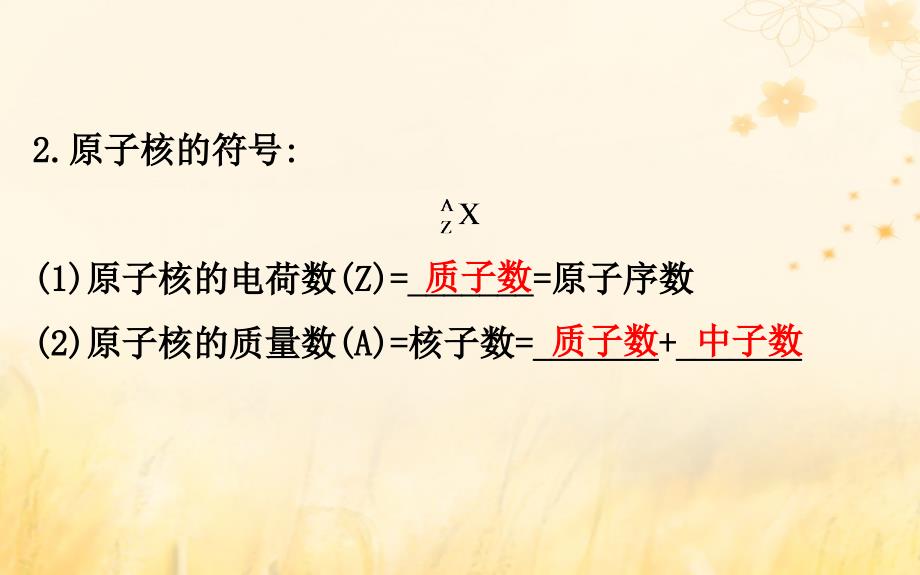 2018-2019学年高中物理第三章原子核3.1原子核的组成与核力优质课件教科版选修3-5_第3页