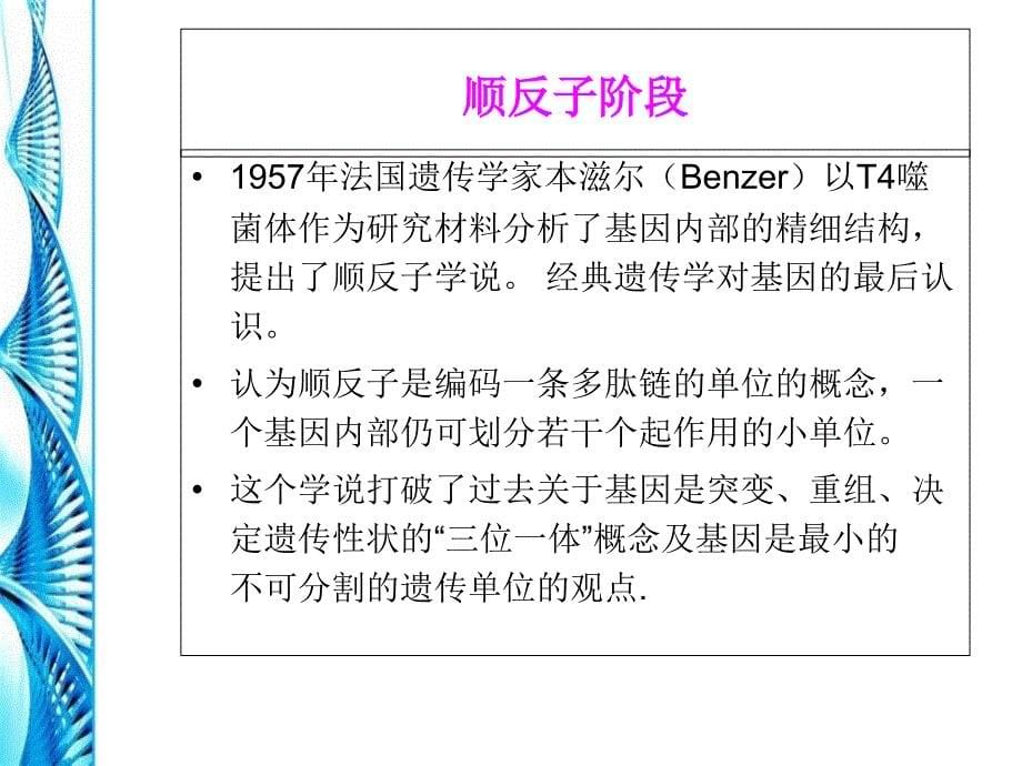 《基因的概念及作用》PPT课件_第5页