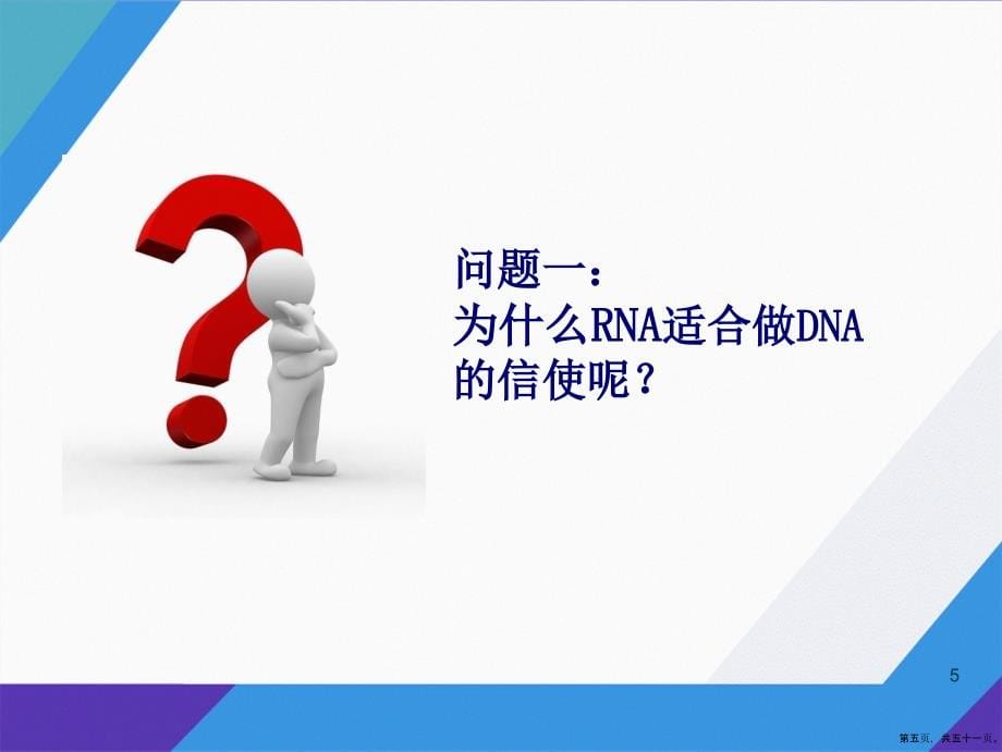 基因指导蛋白质的合成完成讲课文档_第5页