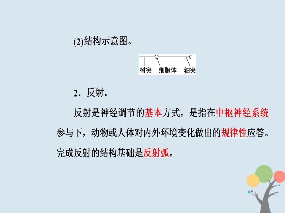 2018-2019学年高中生物第二章动物和人体生命活动的调节第1节通过神经系统调节优质课件新人教版必修3_第4页