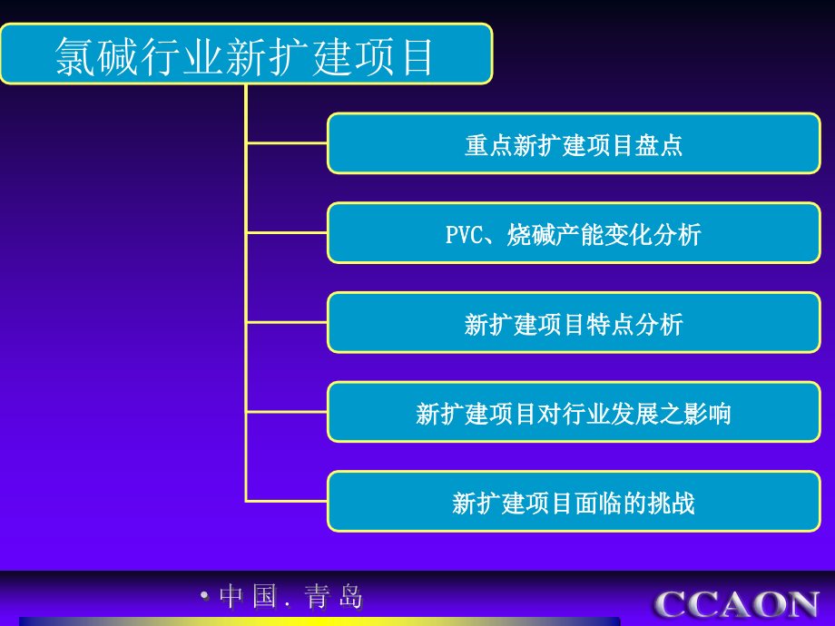 【精品课件】中国氯碱行业新扩建项目解析_第2页