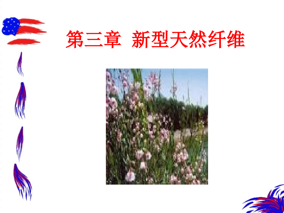 《型天然纤维》PPT课件_第1页