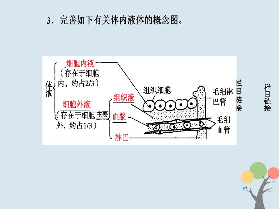 2018-2019学年高中生物第一章人体的内环境与稳态第1节细胞生活的环境优质课件新人教版必修3_第4页