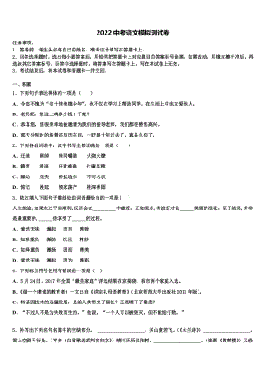 2022届安徽省安庆市桐城市第二中学中考语文模拟预测试卷(含答案解析）