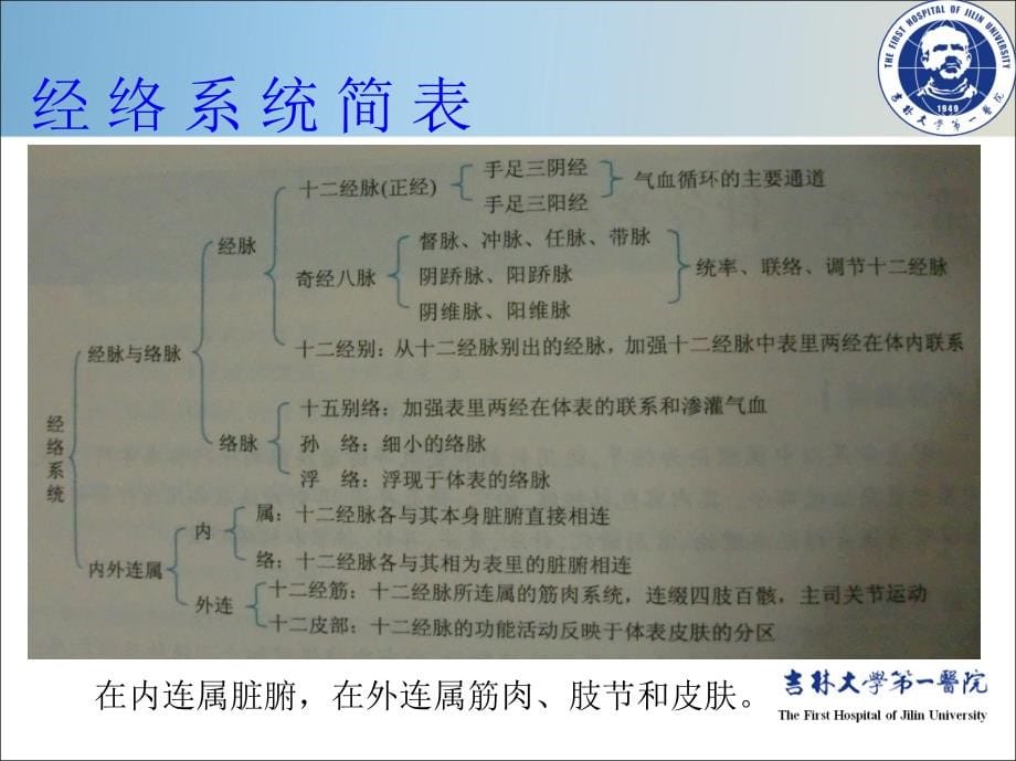 医学针灸学基础医学知识宣讲PPT培训课件_第5页