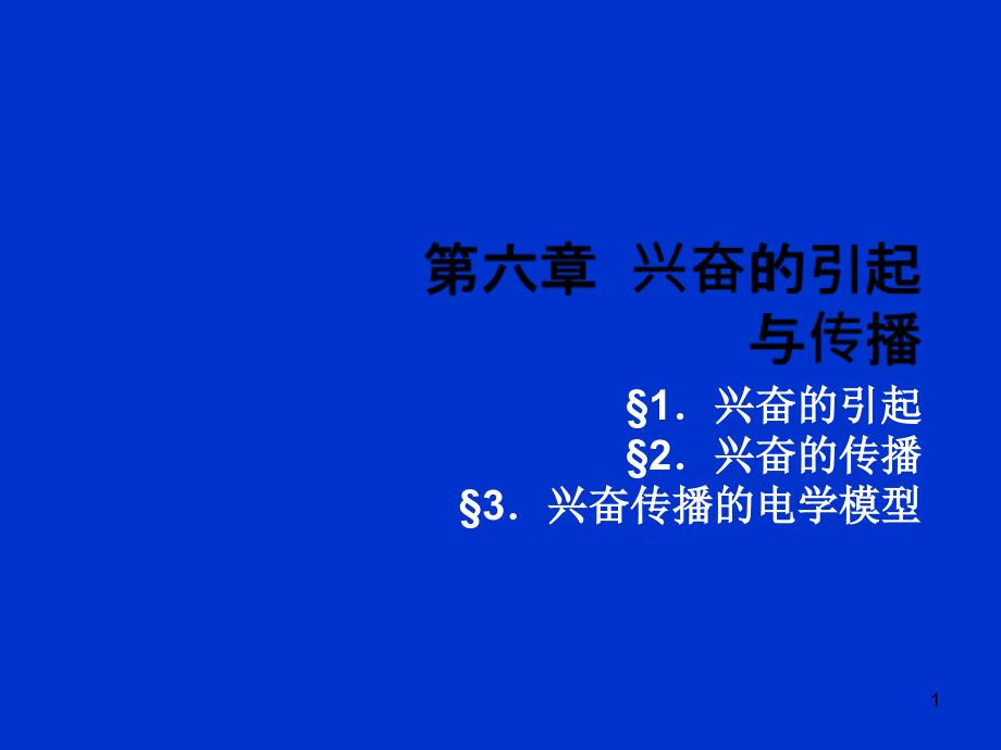 《兴奋的引起与传播》PPT课件_第1页