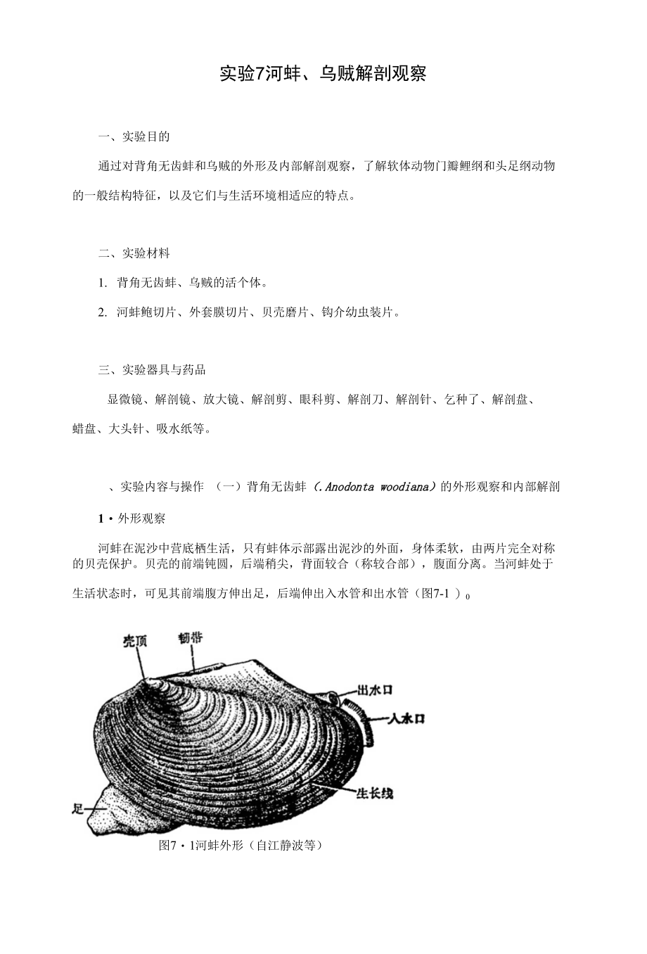 实验五 软体动物解剖观察_第1页