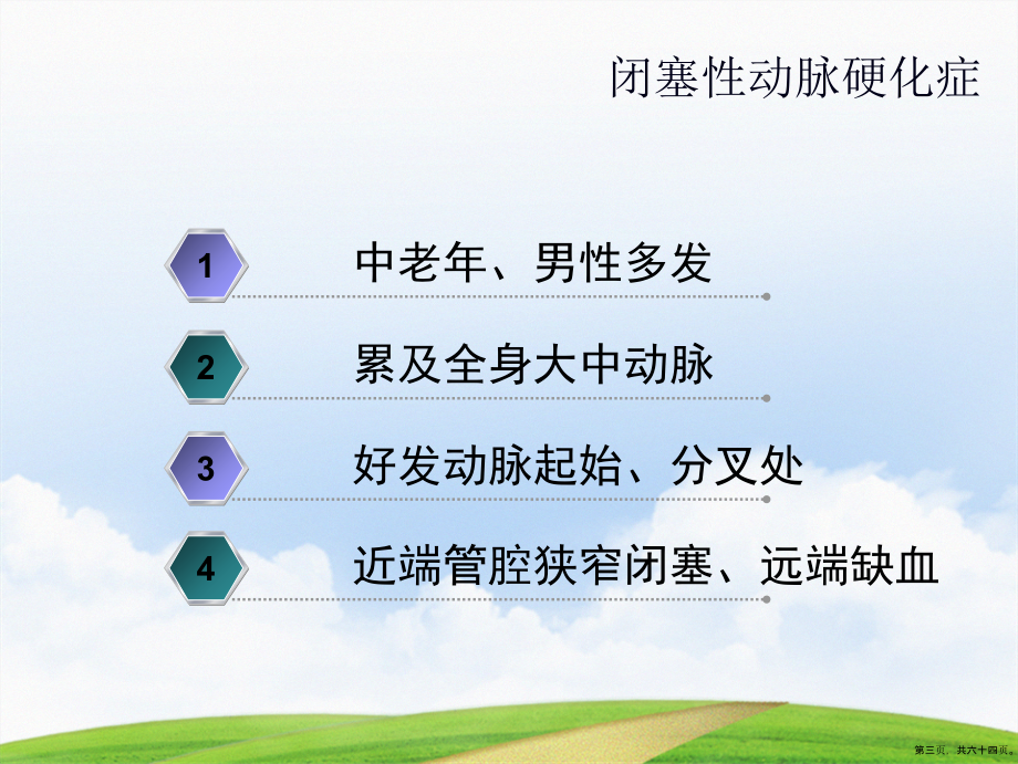 层CT血管成像诊断下肢动脉闭塞及狭窄性疾病的临床应用讲课文档_第3页