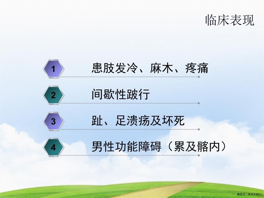 层CT血管成像诊断下肢动脉闭塞及狭窄性疾病的临床应用讲课文档_第5页