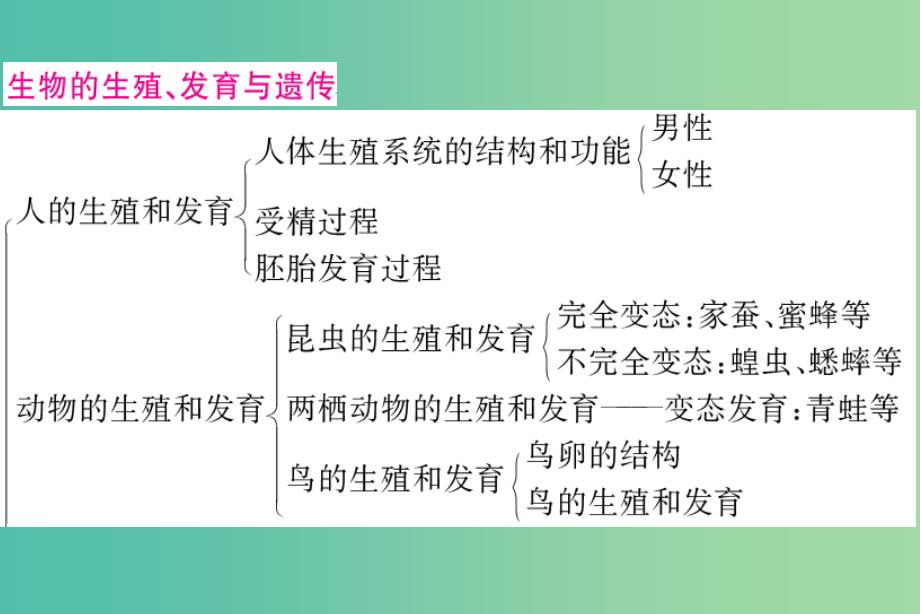 中考生物-第二部分-知识综合突破-专题六-生物的生殖、发育和遗传复习配套课件_第2页