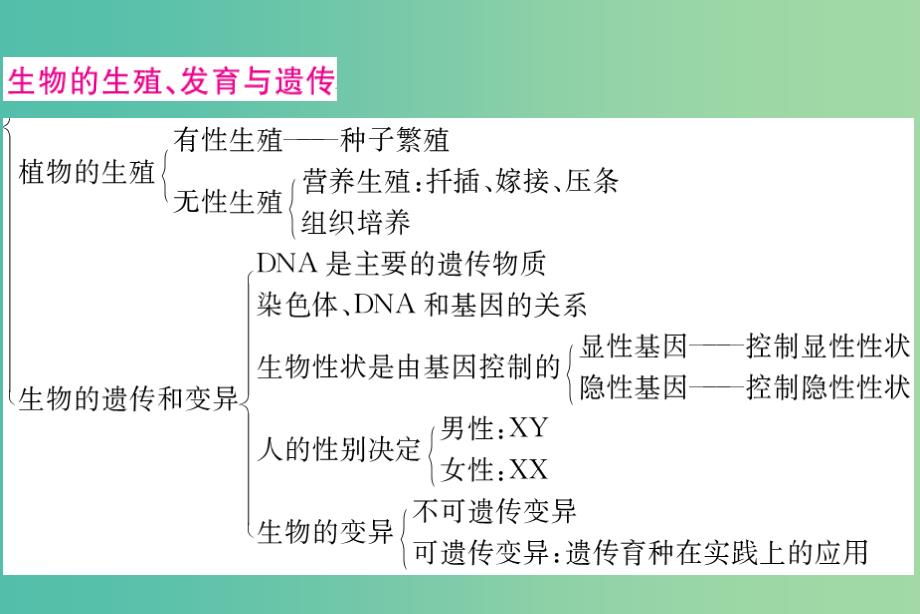 中考生物-第二部分-知识综合突破-专题六-生物的生殖、发育和遗传复习配套课件_第3页