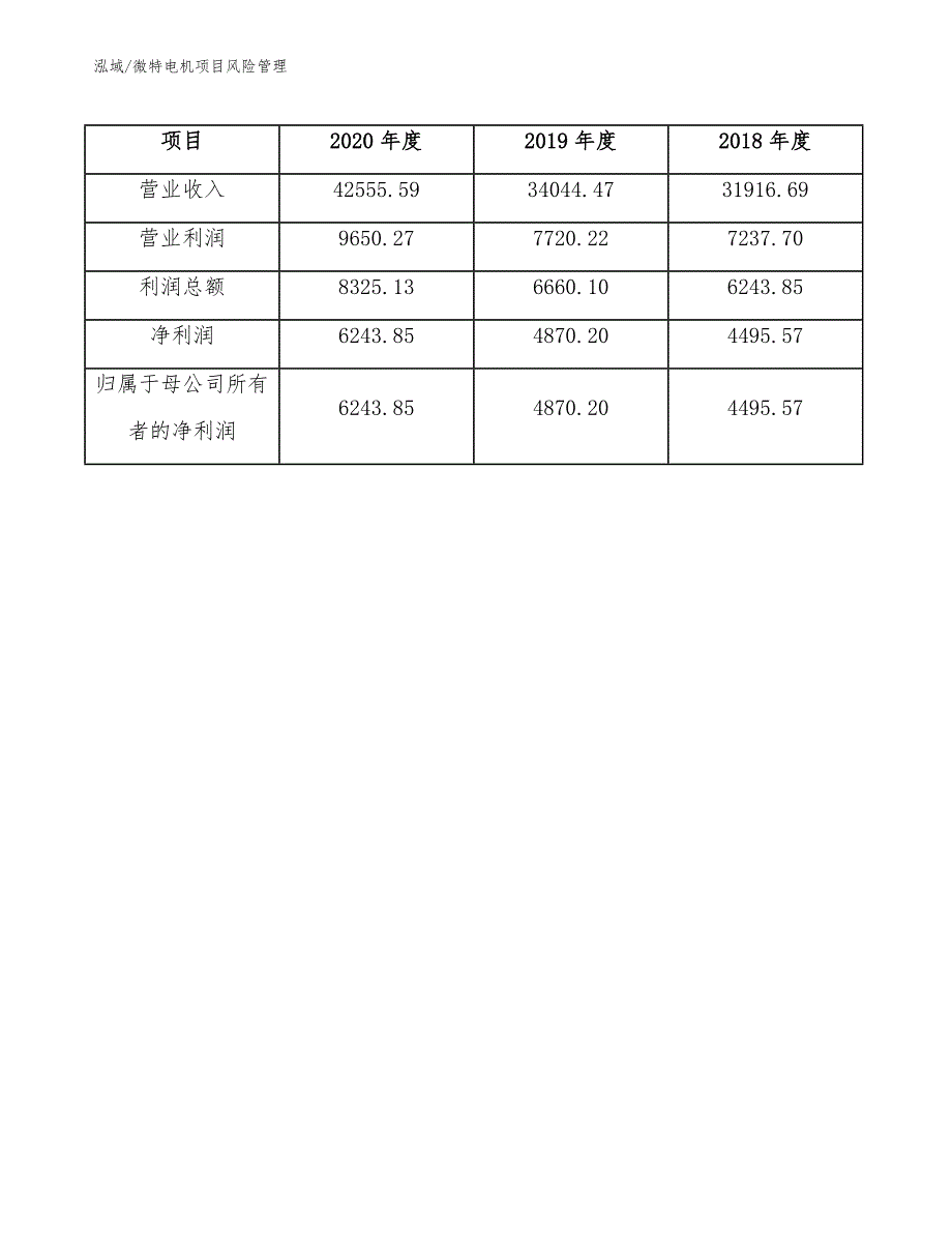 微特电机项目风险管理（参考）_第4页