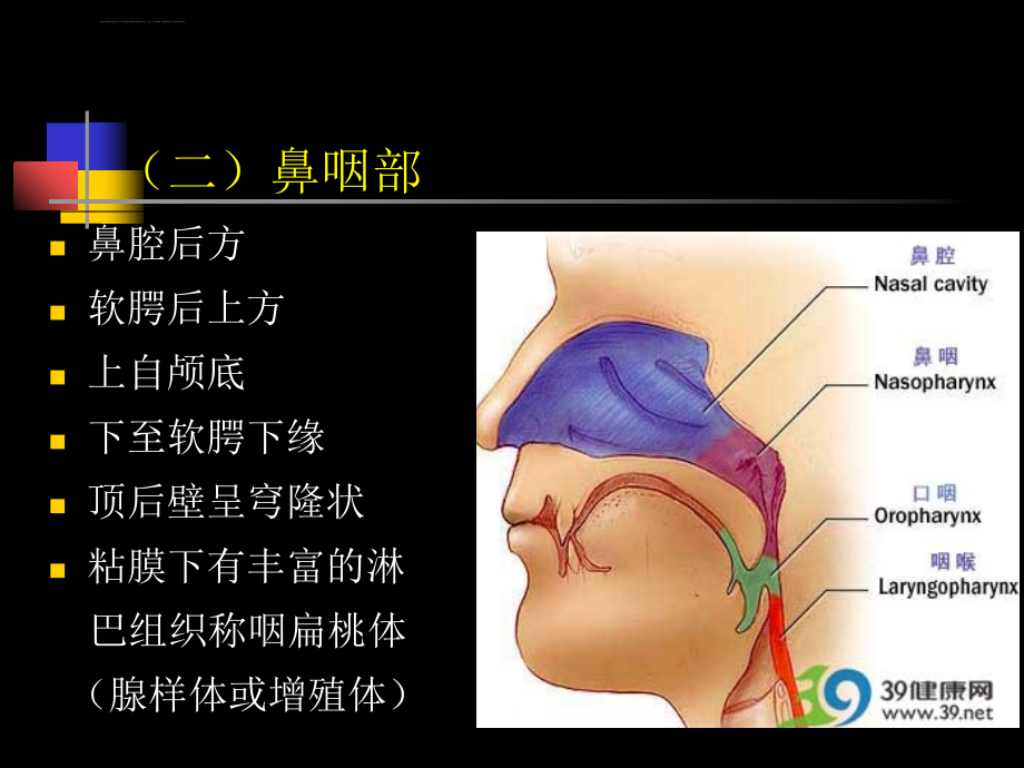 鼻咽部的CT解剖汇总讲义ppt课件_第3页