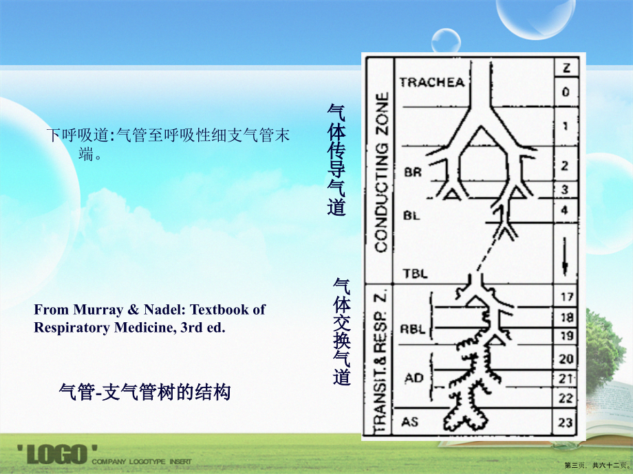 呼吸系统疾病病人常见症状体征的护理3讲课文档_第3页