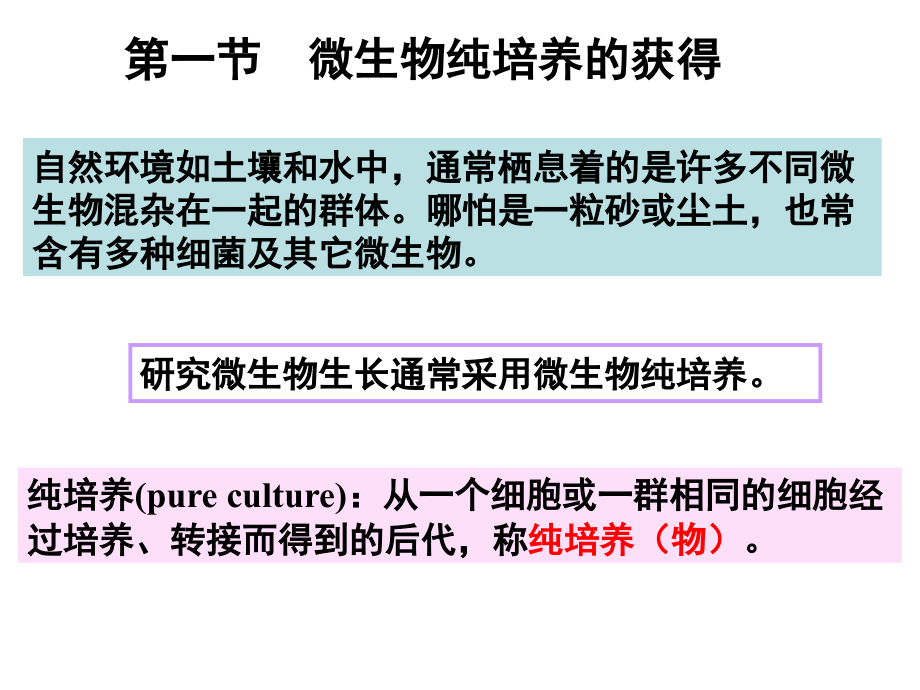 微生物课件 第六章 -修改_第4页