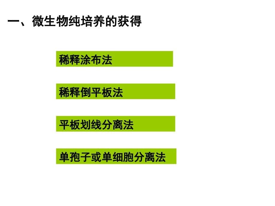 微生物课件 第六章 -修改_第5页