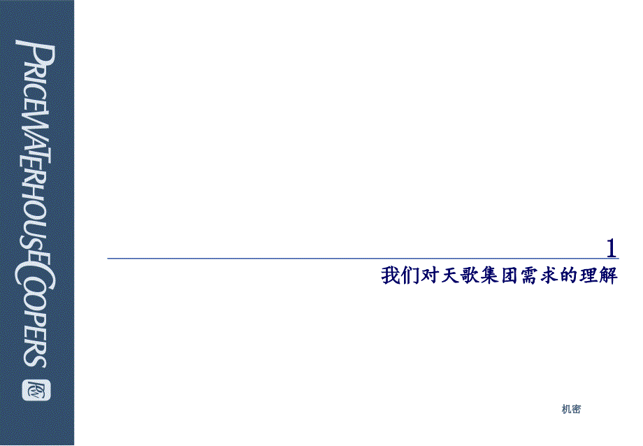 普华永道为某集团咨询全案普华永道项目建议书_第3页