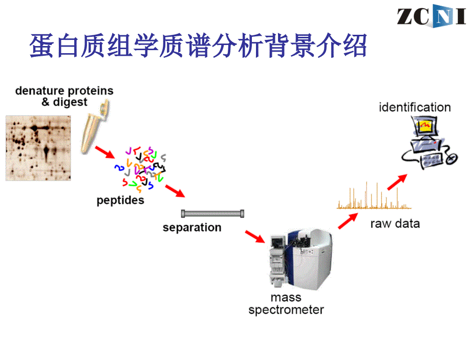 蛋白质组学数据分析ppt课件_第3页