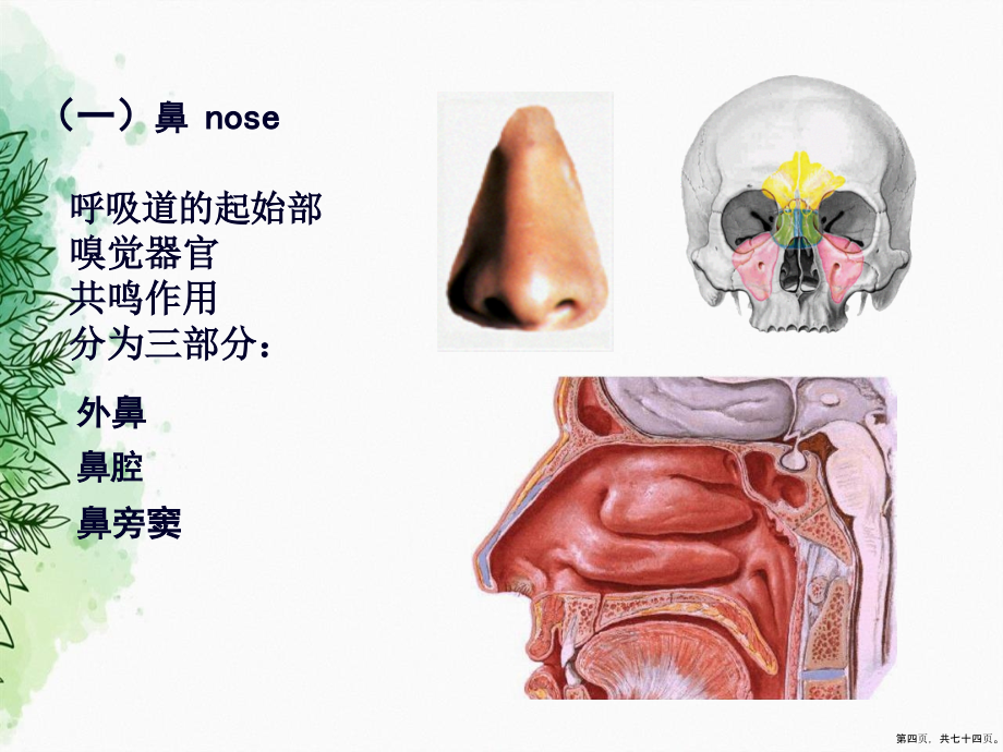 呼吸泌尿系统和男性生殖系统2讲课文档_第4页