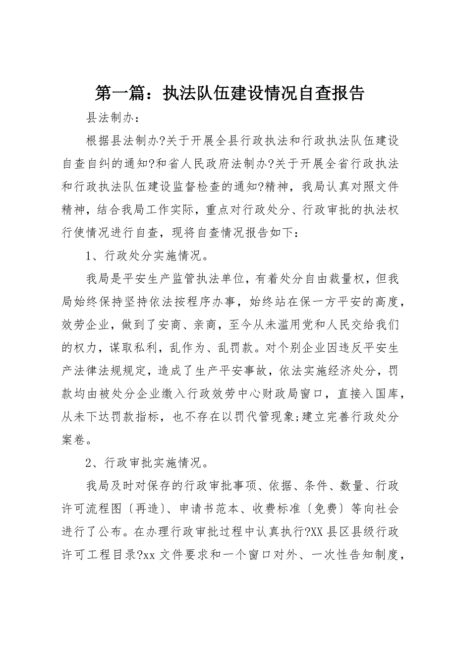 2022年第一篇执法队伍建设情况自查报告_第1页