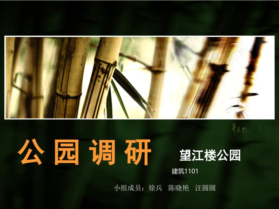 望江楼公园分析ppt课件_第1页